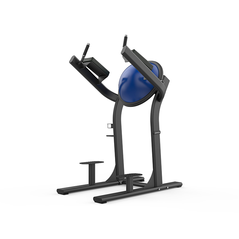 SHUA/舒華提腿訓(xùn)練器SH-G6886